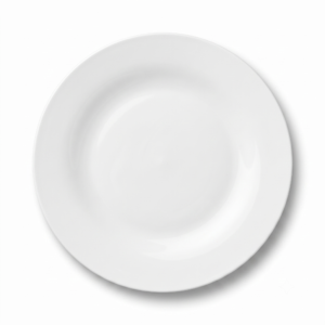 Classic Pure White Wide Rim Porcelain Dinner Plate